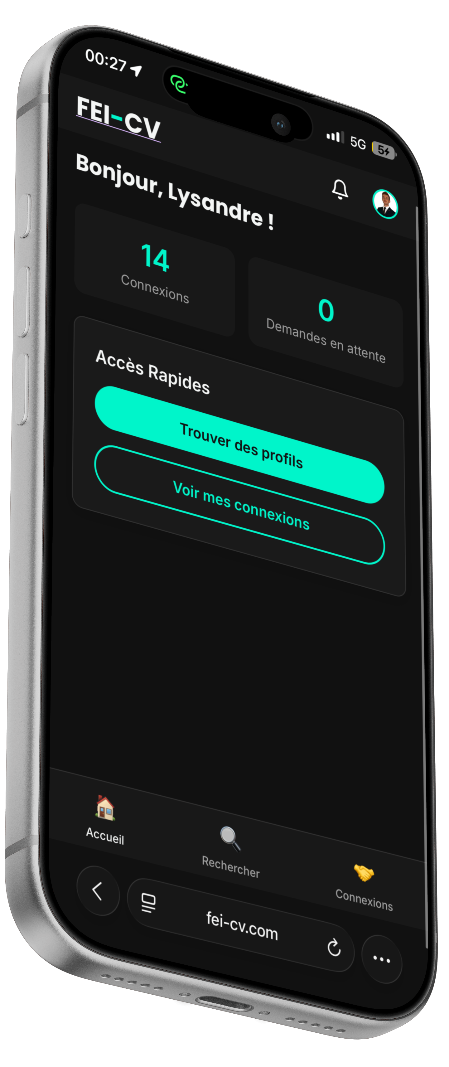 Page d'accueil FEI CV